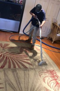 Philips Rug Care Home